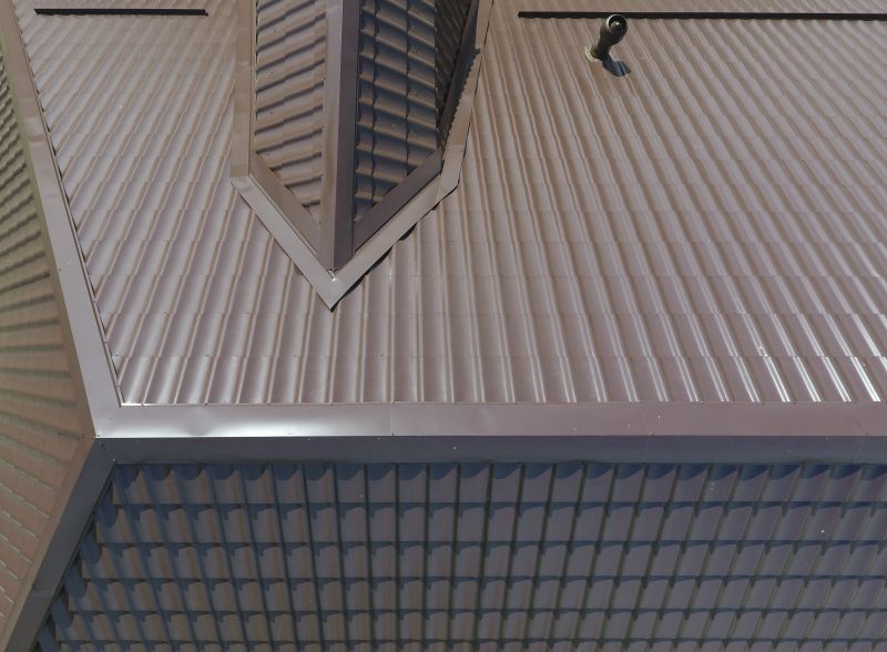 Service Metal Roof detail